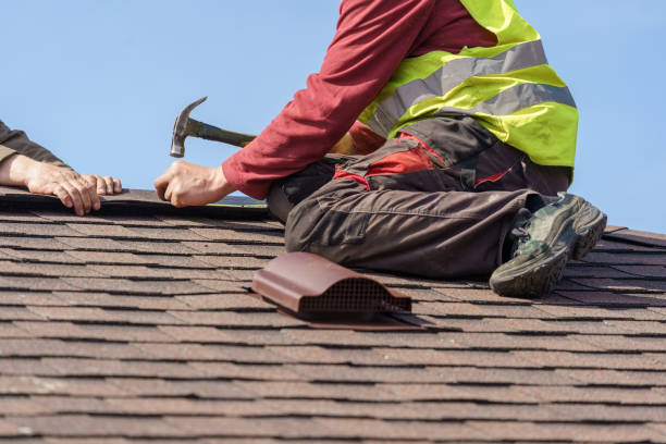 Best Gutter Installation and Roofing  in Ivins, UT