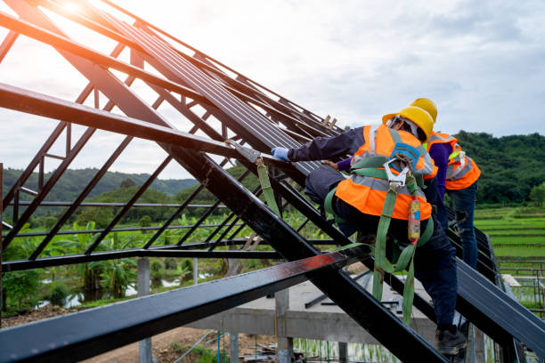 Best Roof Maintenance Services  in Ivins, UT