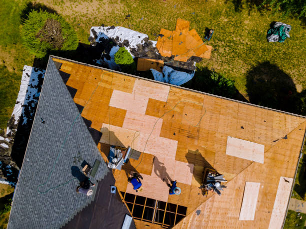 Best Slate Roofing Contractor  in Ivins, UT