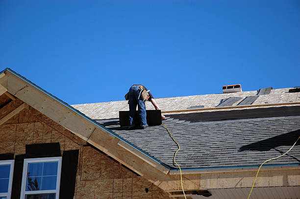 Best Roof Gutter Cleaning  in Ivins, UT